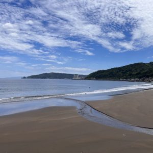 宇佐美海水浴場で夏を満喫。夕食は“金目鯛の煮付け”で贅沢仕上げ｜伊豆・こころねより